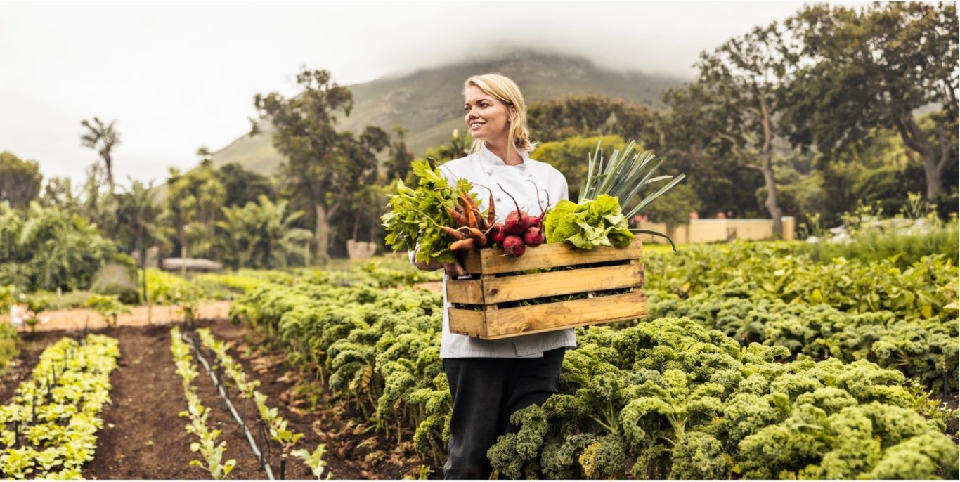 frisches Gemüse Eine Person hält eine Holzkiste mit frischem Gemüse in einem Garten.